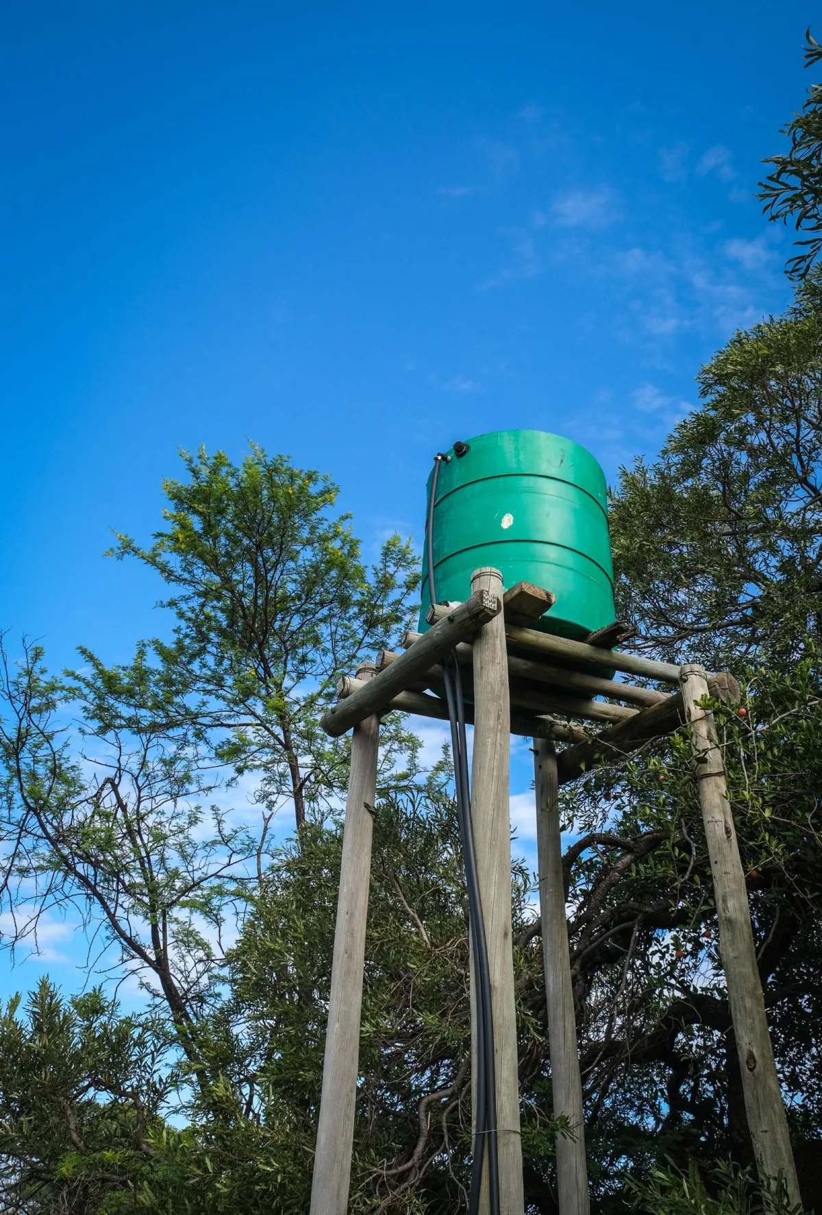 Irigasi Tetes Tanpa Listrik: Sistem Gravitasi + Timer untuk Kebun di Daerah Minim Sinyal