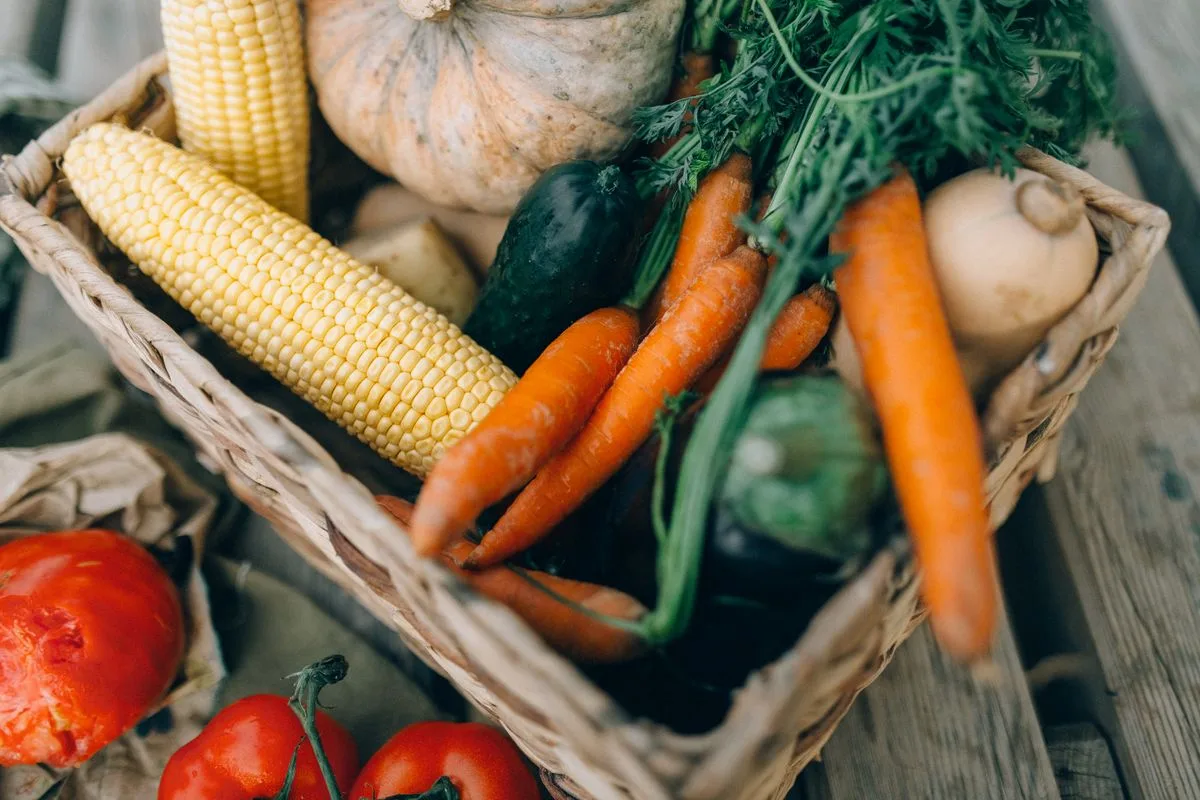 7 Sayuran Paling Laku untuk Urban Farming (dan Cara Menjualnya)